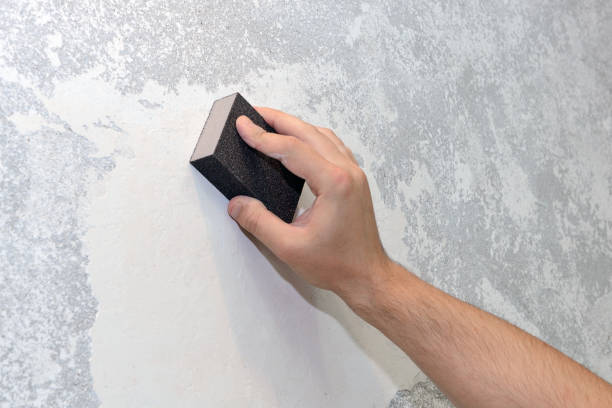 Best Mold Prevention Services  in Sheffield, OH