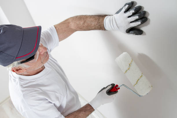 Best Asbestos and Lead Testing During Mold Inspection  in Sheffield, OH