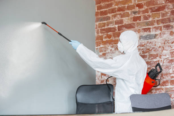 Best Air Quality Testing for Mold Spores  in Sheffield, OH