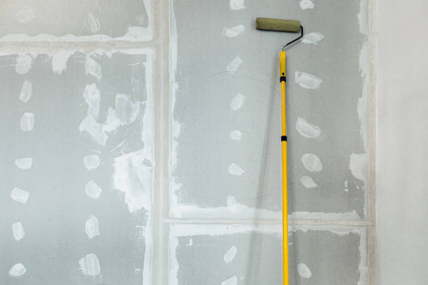  Sheffield, OH Mold Removal Pros