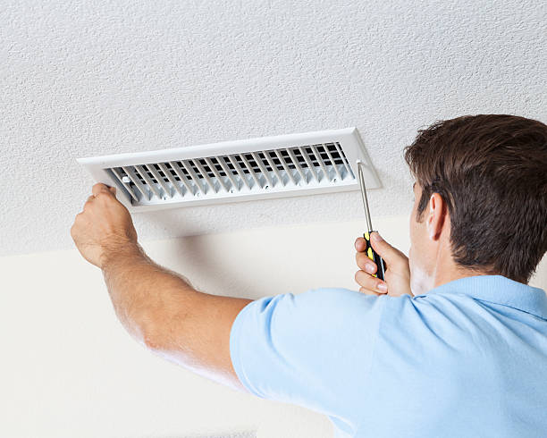 Best Emergency Mold Remediation  in Sheffield, OH