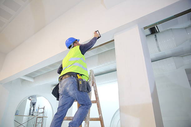 Best Biohazard Mold Removal  in Sheffield, OH