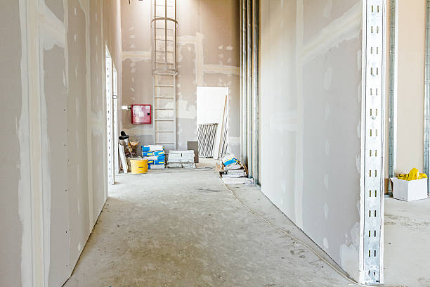 Best Commercial Mold Inspection  in Sheffield, OH